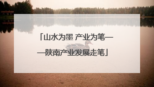 山水为墨 产业为笔——陕南产业发展走笔