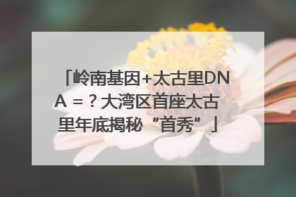 岭南基因+太古里DNA =？大湾区首座太古里年底揭秘“首秀”
