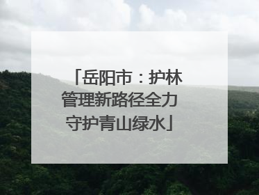 岳阳市：护林管理新路径全力守护青山绿水