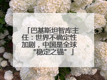 巴基斯坦智库主任：世界不确定性加剧，中国是全球“稳定之锚”