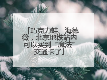 巧克力蛙、海德薇，北京地铁站内可以买到“魔法”交通卡了