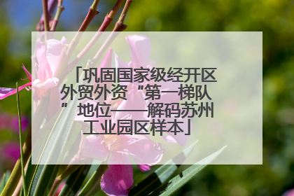 巩固国家级经开区外贸外资“第一梯队”地位——解码苏州工业园区样本