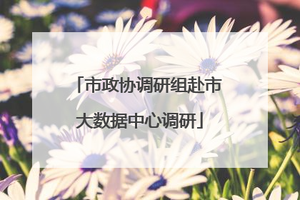 市政协调研组赴市大数据中心调研