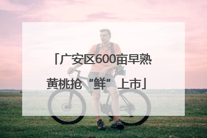 广安区600亩早熟黄桃抢“鲜”上市