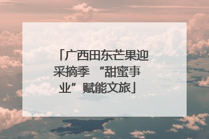 广西田东芒果迎采摘季 “甜蜜事业”赋能文旅