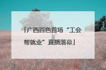 广西百色首场“工会帮就业”直播落幕