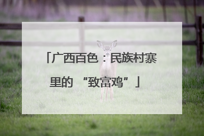广西百色：民族村寨里的 “致富鸡”
