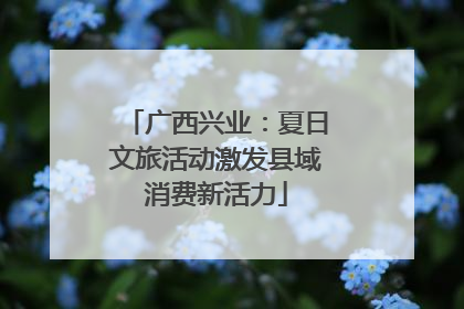 广西兴业：夏日文旅活动激发县域消费新活力