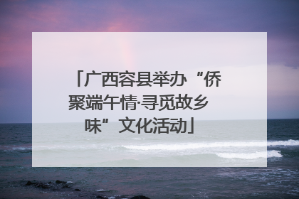 广西容县举办“侨聚端午情·寻觅故乡味”文化活动