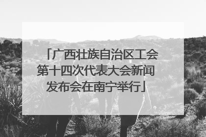 广西壮族自治区工会第十四次代表大会新闻发布会在南宁举行