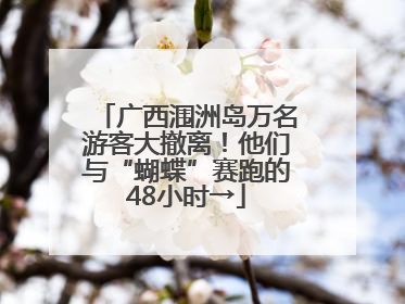 广西涠洲岛万名游客大撤离！他们与“蝴蝶”赛跑的48小时→