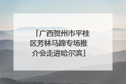 广西贺州市平桂区芳林马蹄专场推介会走进哈尔滨