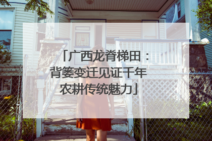 广西龙脊梯田：背篓变迁见证千年农耕传统魅力