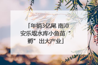 年销3亿尾 南漳安乐堰水库小鱼苗“孵”出大产业