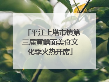 平江上塔市镇第三届黄鳝面美食文化季火热开席