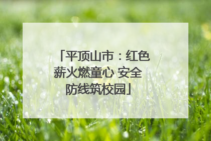 平顶山市：红色薪火燃童心 安全防线筑校园