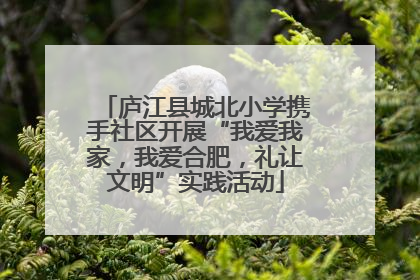 庐江县城北小学携手社区开展“我爱我家，我爱合肥，礼让文明”实践活动