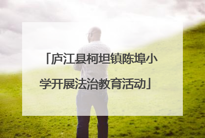 庐江县柯坦镇陈埠小学开展法治教育活动