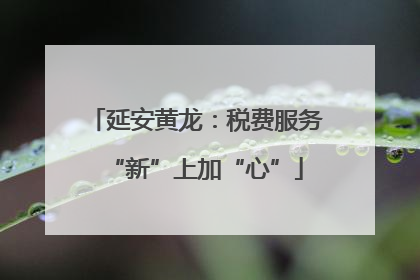 延安黄龙：税费服务“新”上加“心”