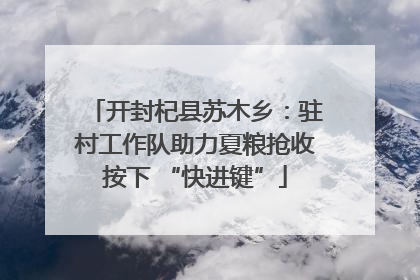 开封杞县苏木乡：驻村工作队助力夏粮抢收按下 “快进键”