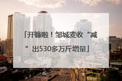 开镰啦！邹城麦收“减”出530多万斤增量