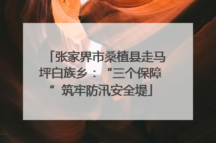 张家界市桑植县走马坪白族乡：“三个保障”筑牢防汛安全堤