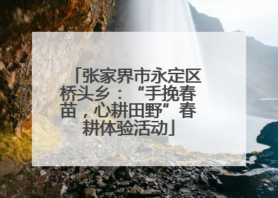 张家界市永定区桥头乡：“手挽春苗，心耕田野”春耕体验活动