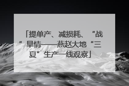 提单产、减损耗、“战”旱情——燕赵大地“三夏”生产一线观察