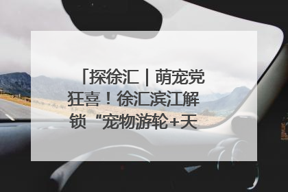 探徐汇｜萌宠党狂喜！徐汇滨江解锁“宠物游轮+天台乐园”双玩法