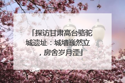 探访甘肃高台骆驼城遗址：城墙巍然立，房舍岁月湮