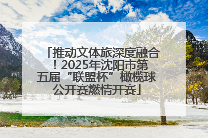 推动文体旅深度融合！2025年沈阳市第五届“联盟杯”橄榄球公开赛燃情开赛