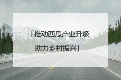 推动西瓜产业升级 助力乡村振兴
