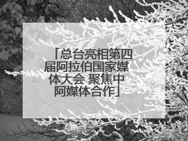 总台亮相第四届阿拉伯国家媒体大会 聚焦中阿媒体合作