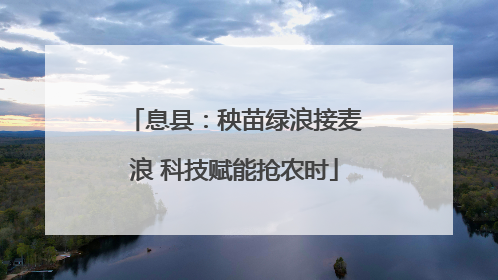 息县：秧苗绿浪接麦浪 科技赋能抢农时