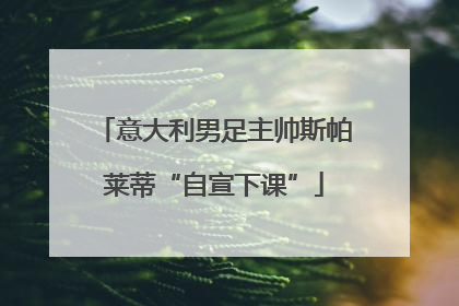 意大利男足主帅斯帕莱蒂“自宣下课”