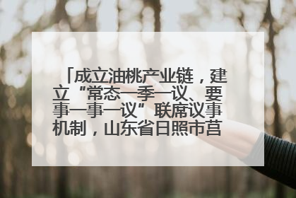 成立油桃产业链，建立“常态一季一议、要事一事一议”联席议事机制，山东省日照市莒县果庄镇——13个党小组“全周期”育果