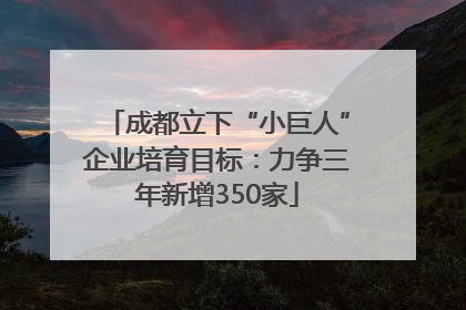 成都立下“小巨人”企业培育目标：力争三年新增350家