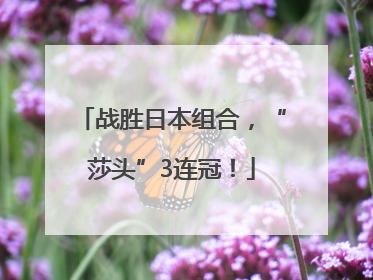 战胜日本组合，“莎头”3连冠！