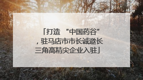 打造 “中国药谷”，驻马店市市长诚邀长三角高精尖企业入驻