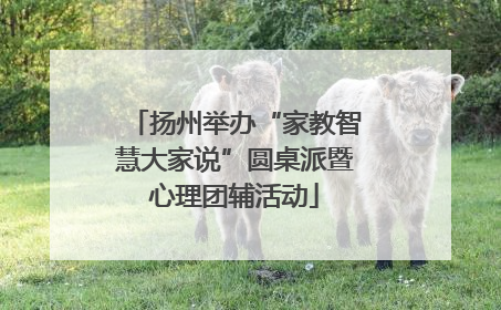扬州举办“家教智慧大家说”圆桌派暨心理团辅活动
