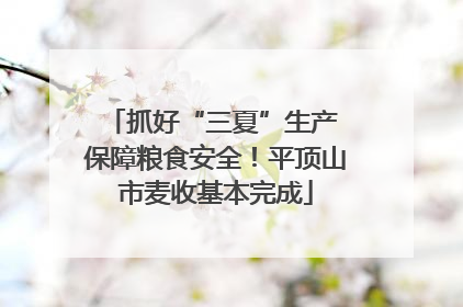 抓好“三夏”生产 保障粮食安全！平顶山市麦收基本完成