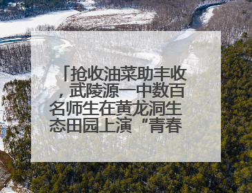 抢收油菜助丰收，武陵源一中数百名师生在黄龙洞生态田园上演“青春助农记”