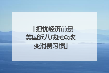 担忧经济前景 美国近八成民众改变消费习惯