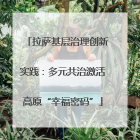 拉萨基层治理创新实践：多元共治激活高原“幸福密码”