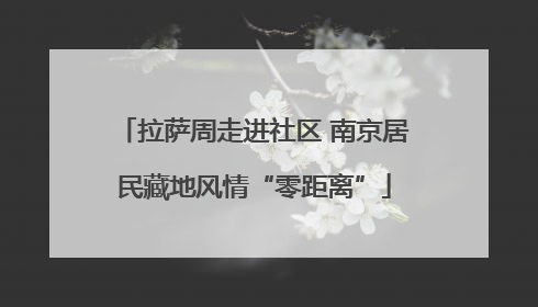 拉萨周走进社区 南京居民藏地风情“零距离”