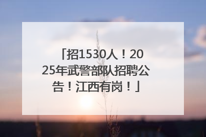 招1530人！2025年武警部队招聘公告！江西有岗！
