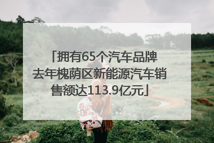 拥有65个汽车品牌 去年槐荫区新能源汽车销售额达113.9亿元