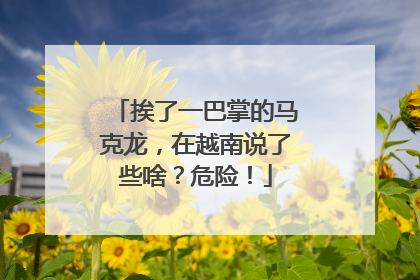 挨了一巴掌的马克龙，在越南说了些啥？危险！