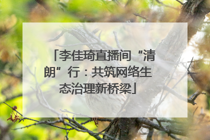 李佳琦直播间“清朗”行：共筑网络生态治理新桥梁
