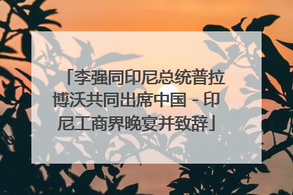 李强同印尼总统普拉博沃共同出席中国－印尼工商界晚宴并致辞